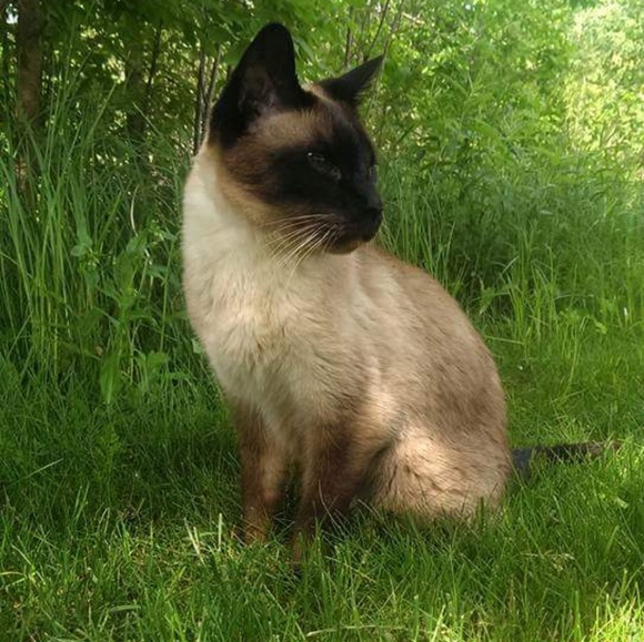 Meet your Posher, Dean - Picture 1 of 1